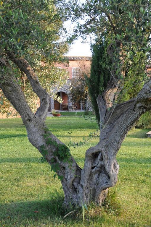 Relais Le Ginestre Villa Saturnia Exterior photo